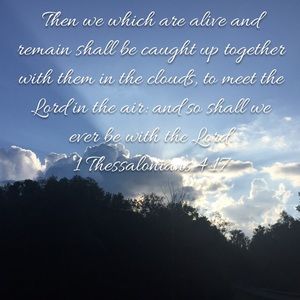 Meet your Posher, Wanda